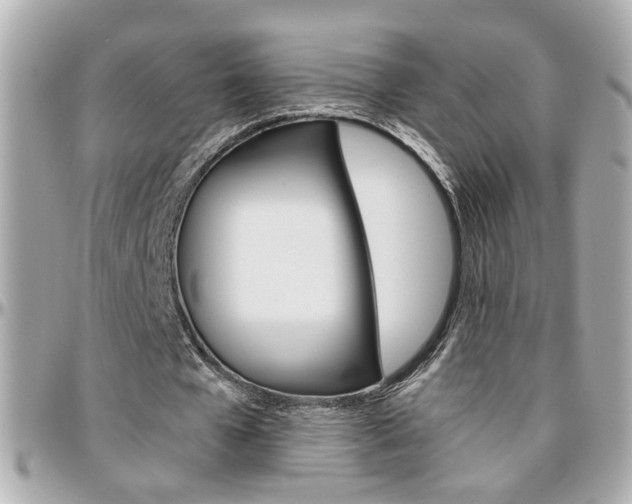 X0000096440577200801241120