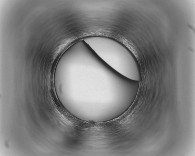 X0000096440578200801241120