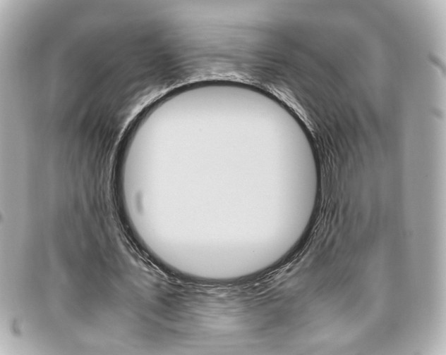 X0000096440579200801241120