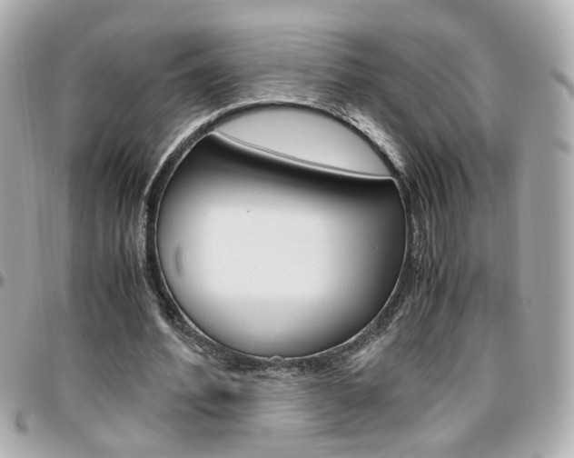 X0000096440580200801241120