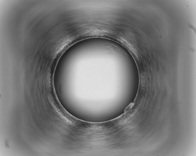 X0000096440581200801241120