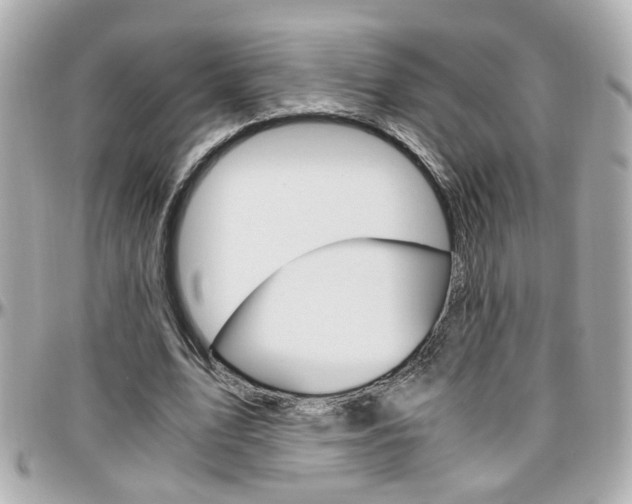 X0000096440583200801241120