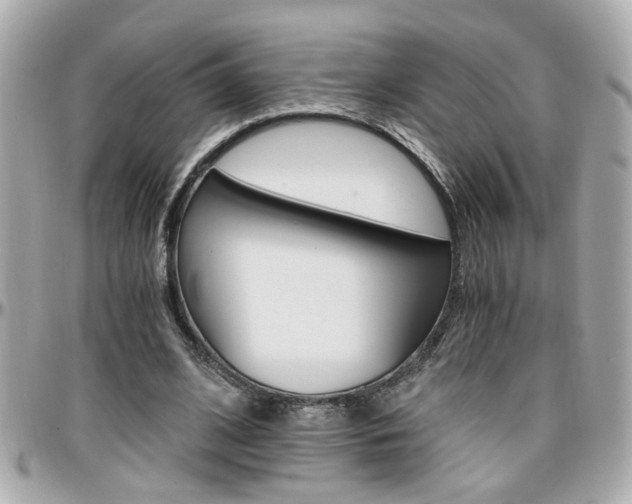 X0000096440584200801241120