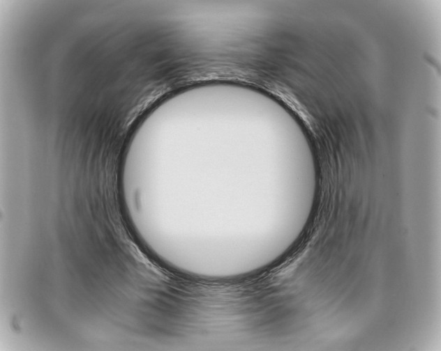X0000096440585200801241120