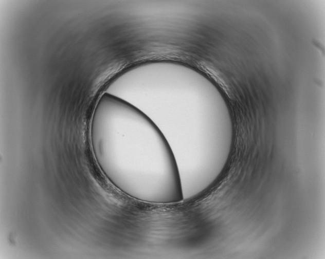 X0000096440586200801241120