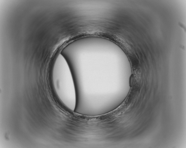 X0000096440587200801241120
