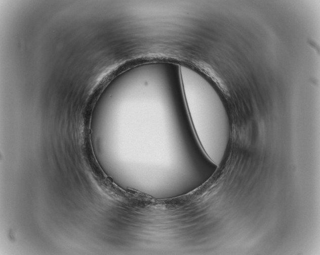 X0000096440588200801241120