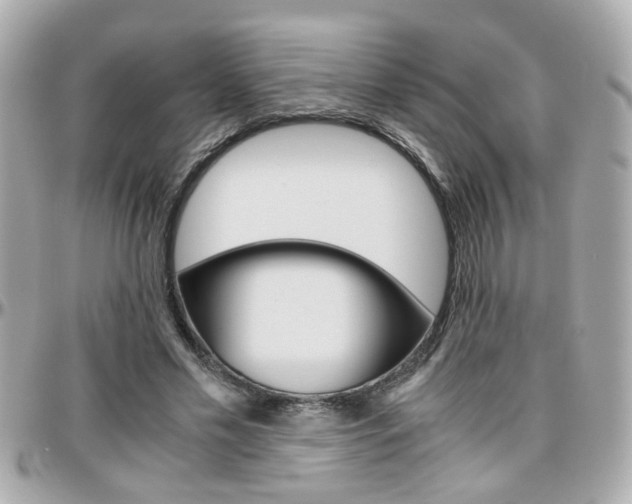 X0000096440589200801241120