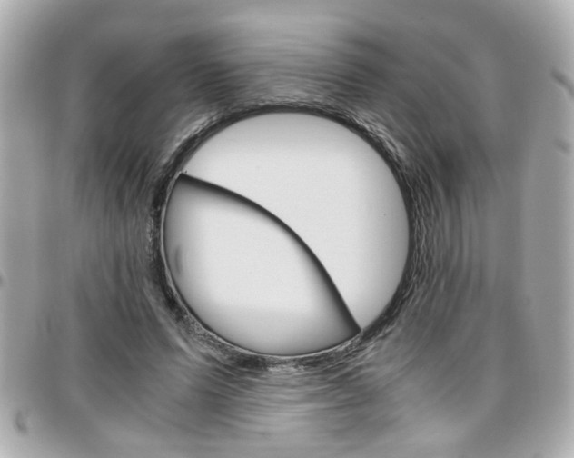 X0000096440591200801241120