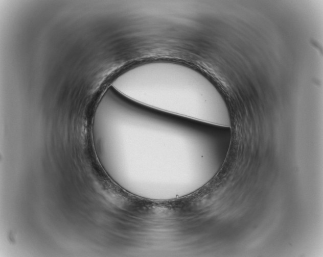 X0000096440592200801241120