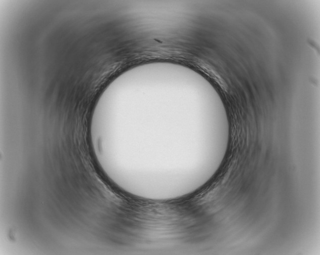 X0000096440593200801241120
