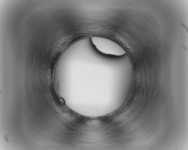 X0000096440594200801241120