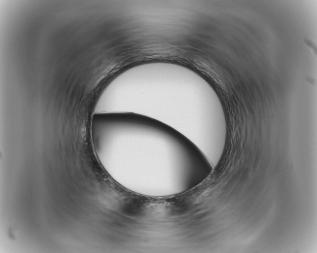 X0000096440595200801241120