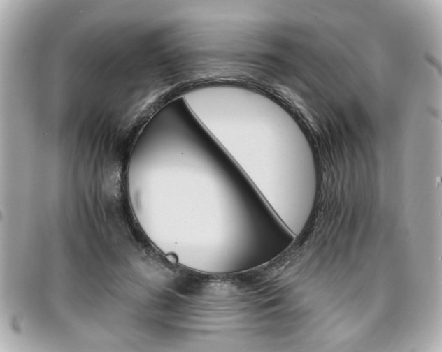 X0000096440596200801241120
