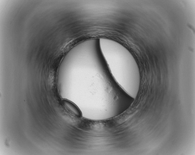 X0000096440600200801241119