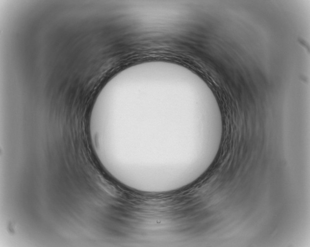 X0000096440601200801241119