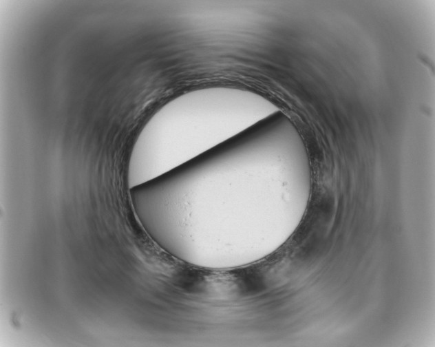 X0000096440603200801241119