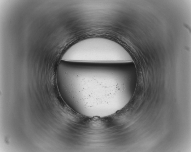 X0000096440604200801241119