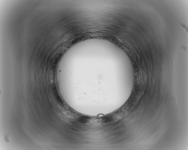 X0000096440606200801241119