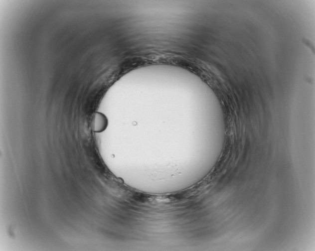 X0000096440607200801241119
