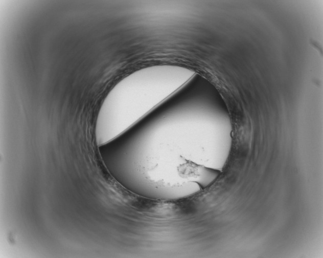 X0000096440609200801241119