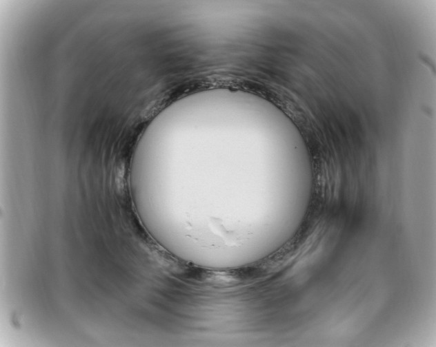 X0000096440610200801241119