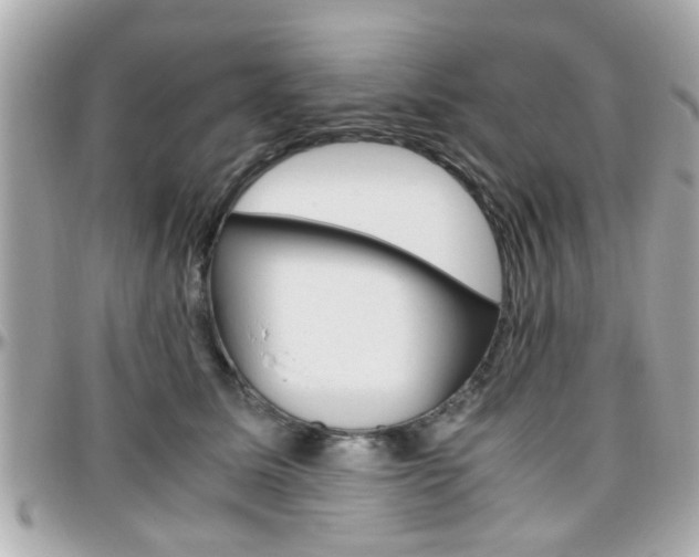 X0000096440611200801241119