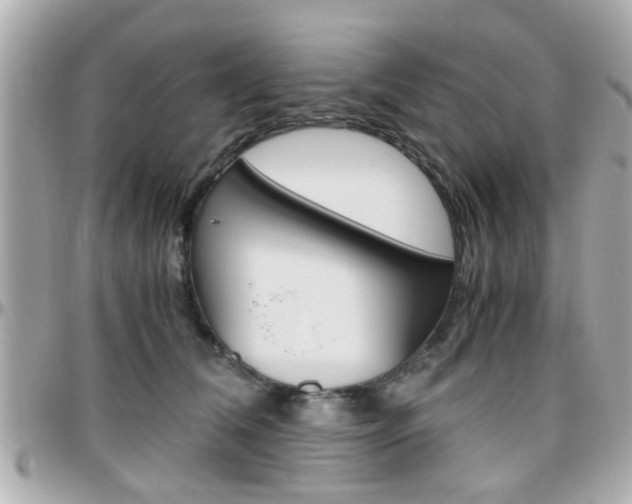X0000096440612200801241119
