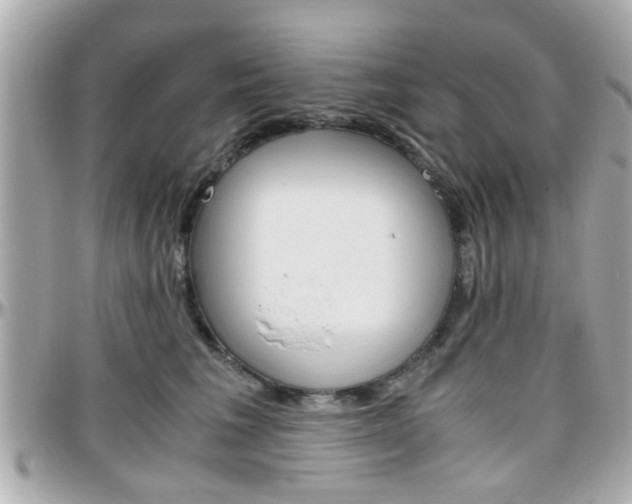 X0000096440613200801241119