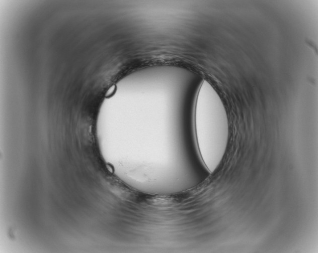 X0000096440615200801241119