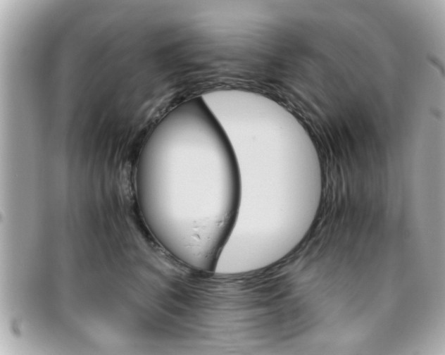 X0000096440616200801241119