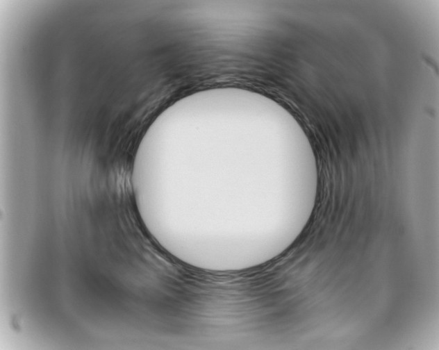 X0000096440617200801241119