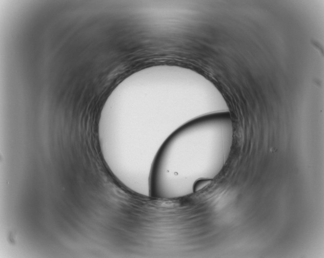X0000096440619200801241119