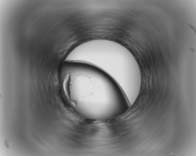 X0000096440620200801241119