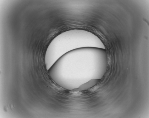 X0000096440621200801241119