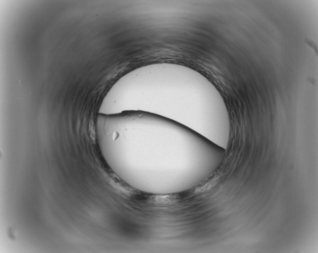 X0000096440622200801241119