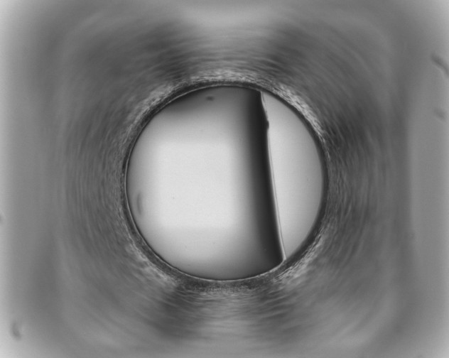 X0000096440625200801241118