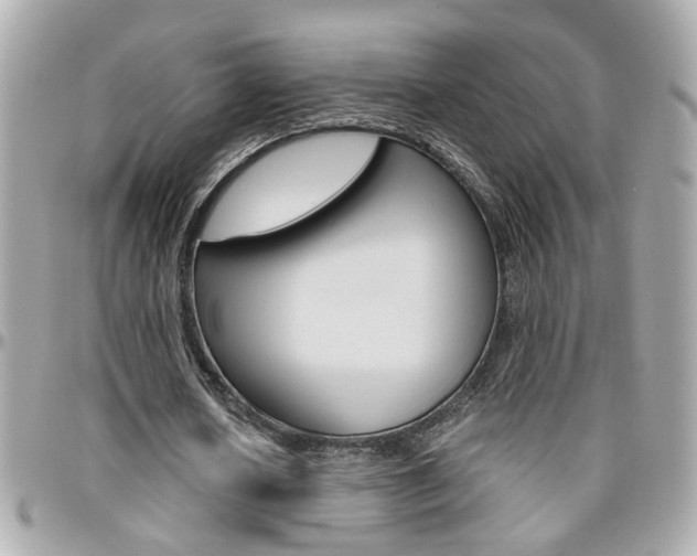 X0000096440626200801241118