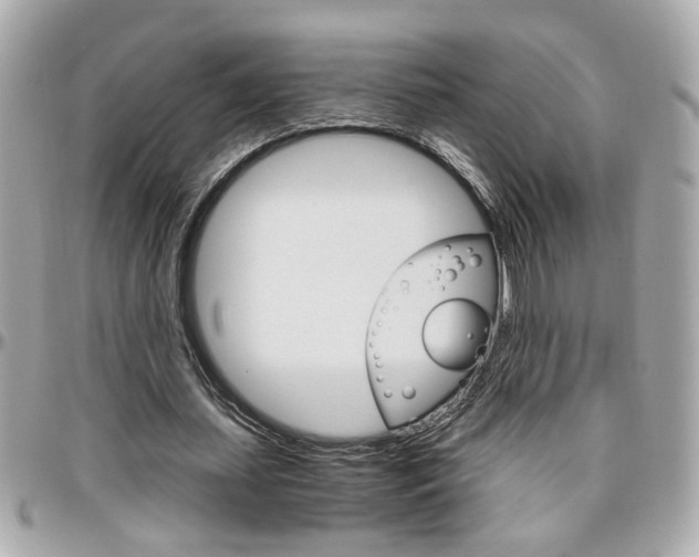 X0000096440627200801241118
