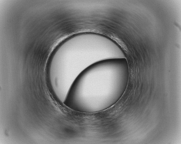 X0000096440628200801241118
