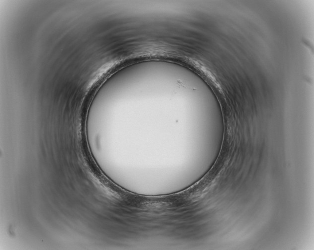 X0000096440629200801241118