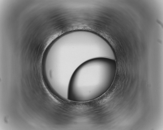 X0000096440630200801241118