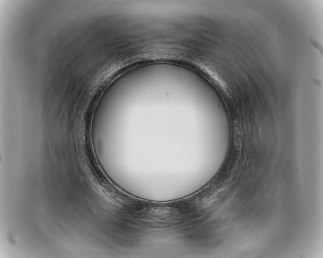 X0000096440631200801241118