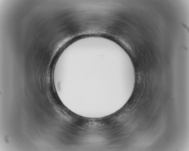 X0000096440632200801241118
