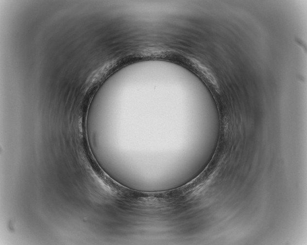 X0000096440633200801241118