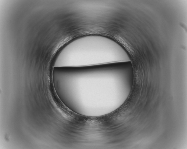 X0000096440634200801241118