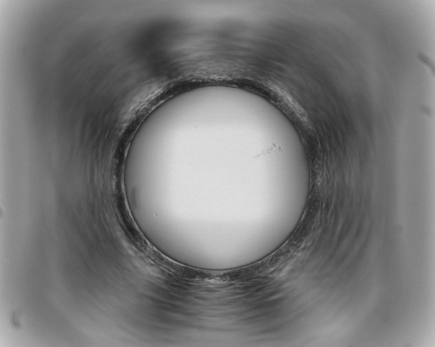 X0000096440635200801241118