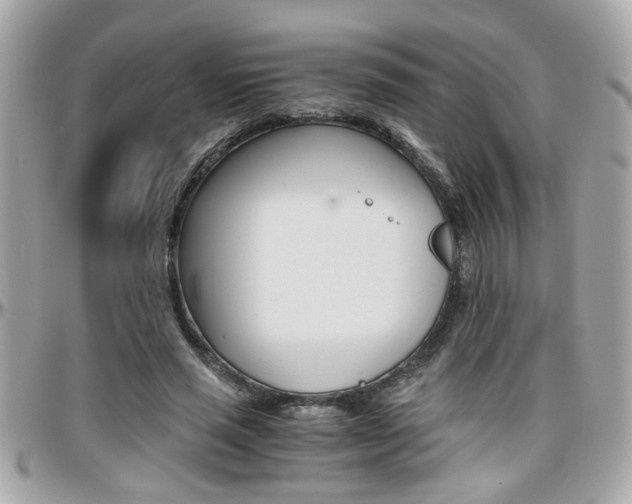 X0000096440637200801241118