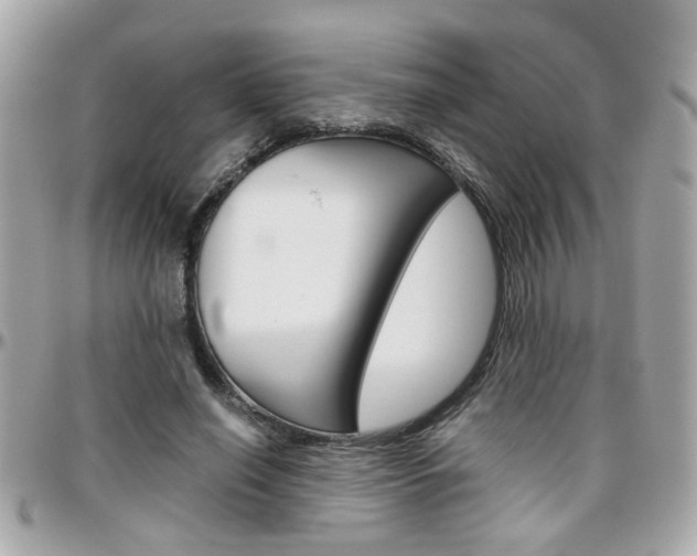 X0000096440638200801241118