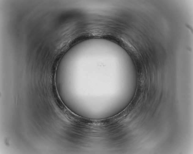 X0000096440639200801241118